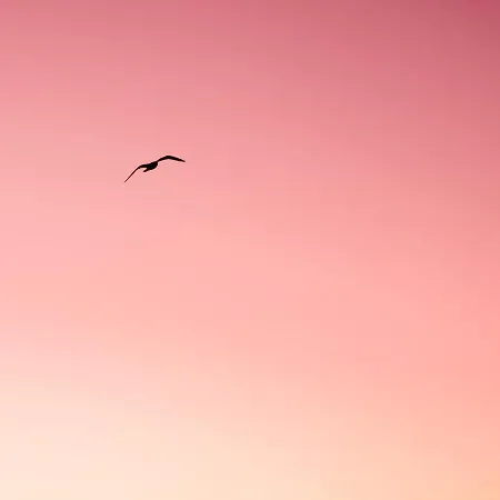 Villa De Panne Villa