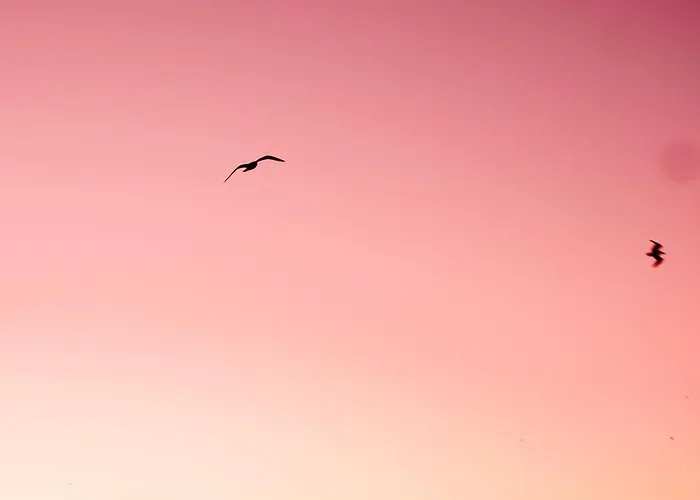 Villa De Panne Villa